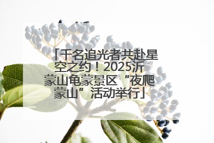 千名追光者共赴星空之约！2025沂蒙山龟蒙景区“夜爬蒙山”活动举行