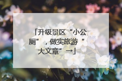 升级景区“小公厕”，做实旅游“大文章”→