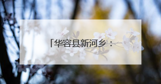 华容县新河乡：粽叶飘香传温情 走访慰问暖人心