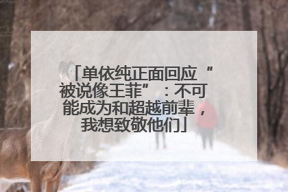 单依纯正面回应“被说像王菲”：不可能成为和超越前辈，我想致敬他们