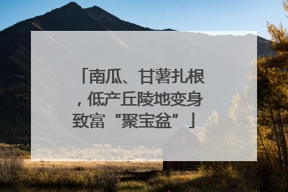南瓜、甘薯扎根，低产丘陵地变身致富“聚宝盆”