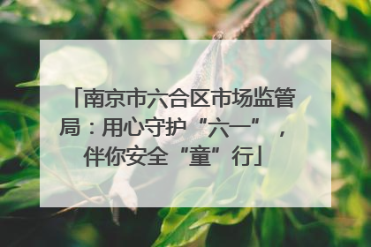 南京市六合区市场监管局：用心守护“六一”，伴你安全“童”行