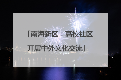 南海新区：高校社区开展中外文化交流