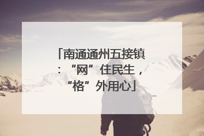南通通州五接镇：“网”住民生，“格”外用心