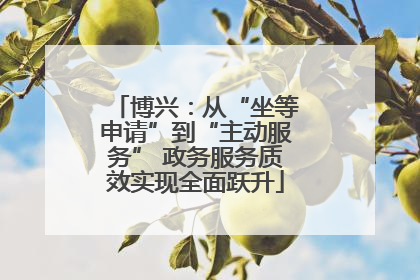 博兴：从“坐等申请”到“主动服务” 政务服务质效实现全面跃升