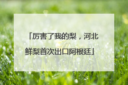 厉害了我的梨，河北鲜梨首次出口阿根廷