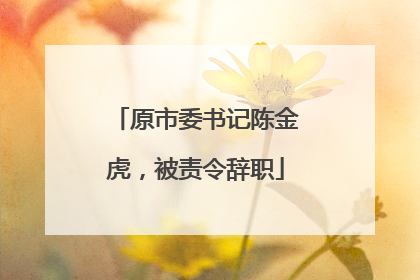 原市委书记陈金虎，被责令辞职