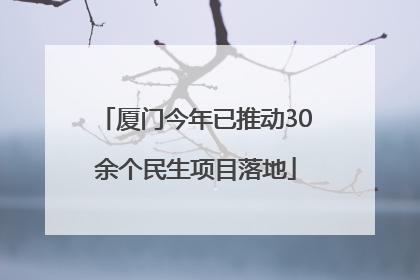 厦门今年已推动30余个民生项目落地