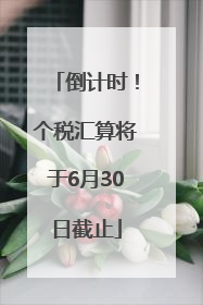 倒计时！个税汇算将于6月30日截止