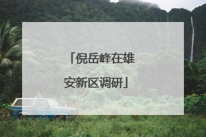 倪岳峰在雄安新区调研