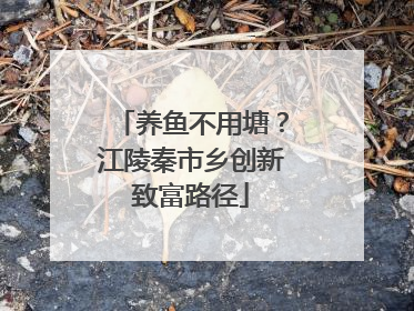 养鱼不用塘？江陵秦市乡创新致富路径