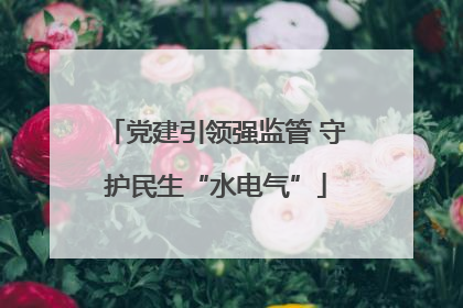 党建引领强监管 守护民生“水电气”