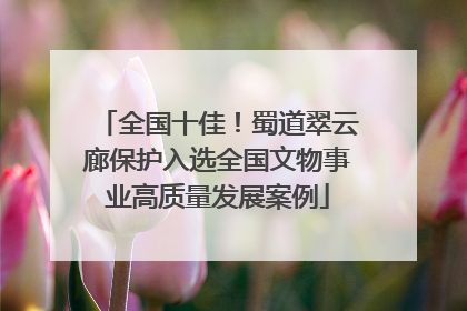 全国十佳！蜀道翠云廊保护入选全国文物事业高质量发展案例
