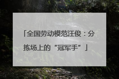全国劳动模范汪俊：分拣场上的“冠军手”