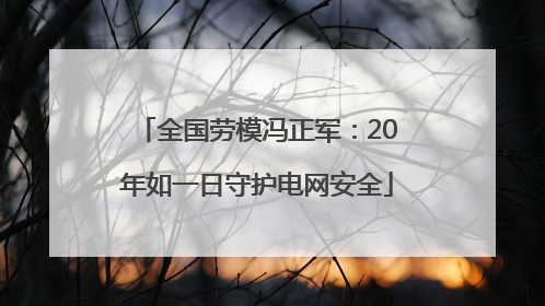 全国劳模冯正军：20年如一日守护电网安全