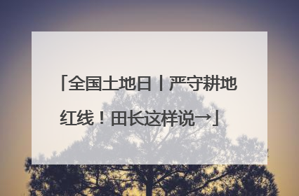 全国土地日丨严守耕地红线！田长这样说→