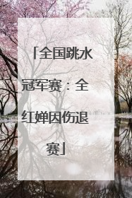 全国跳水冠军赛：全红婵因伤退赛