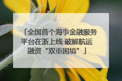 全国首个海事金融服务平台在浙上线 破解航运融资“双重困境”
