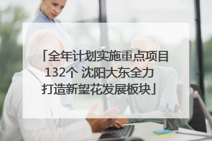 全年计划实施重点项目132个 沈阳大东全力打造新望花发展板块
