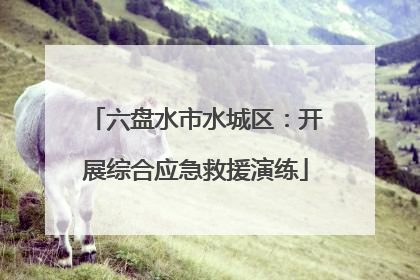 六盘水市水城区：开展综合应急救援演练