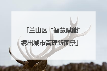 兰山区“智慧赋能”绣出城市管理新图景
