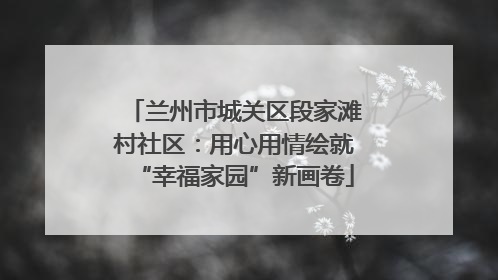 兰州市城关区段家滩村社区：用心用情绘就“幸福家园”新画卷