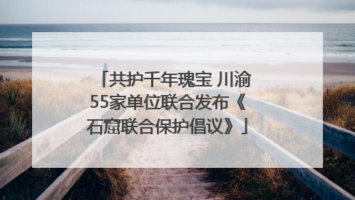 共护千年瑰宝 川渝55家单位联合发布《石窟联合保护倡议》