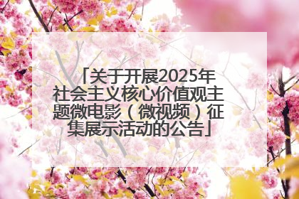 关于开展2025年社会主义核心价值观主题微电影（微视频）征集展示活动的公告