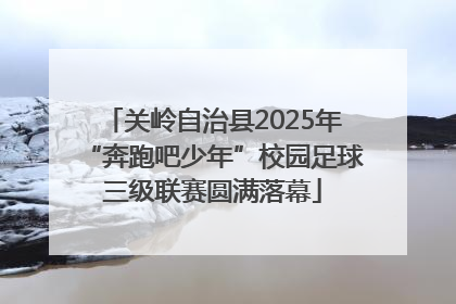 关岭自治县2025年“奔跑吧少年”校园足球三级联赛圆满落幕