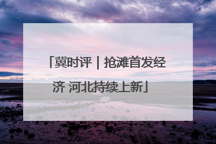 冀时评｜抢滩首发经济 河北持续上新