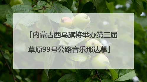 内蒙古西乌旗将举办第三届草原99号公路音乐那达慕
