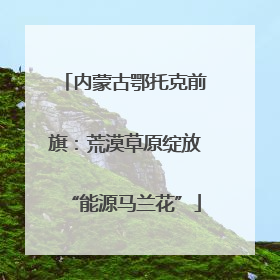 内蒙古鄂托克前旗：荒漠草原绽放“能源马兰花”