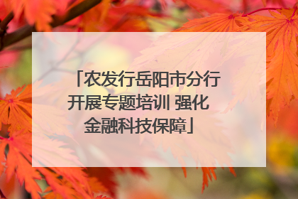 农发行岳阳市分行开展专题培训 强化金融科技保障