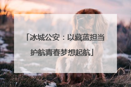 冰城公安：以藏蓝担当 护航青春梦想起航