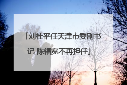 刘桂平任天津市委副书记 陈辐宽不再担任
