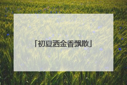 初夏洒金香飘散