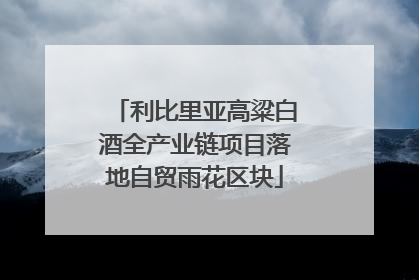 利比里亚高粱白酒全产业链项目落地自贸雨花区块