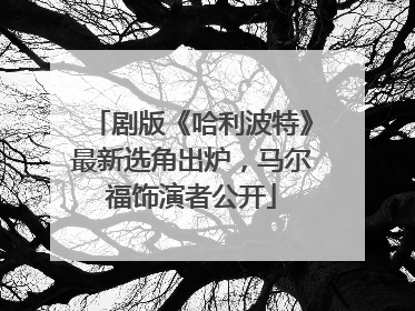剧版《哈利波特》最新选角出炉，马尔福饰演者公开