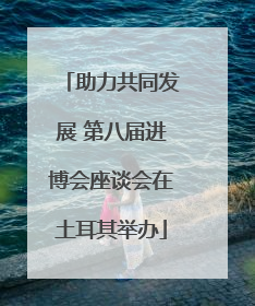 助力共同发展 第八届进博会座谈会在土耳其举办