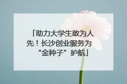 助力大学生敢为人先！长沙创业服务为“金种子”护航