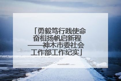 勇毅笃行践使命 奋楫扬帆启新程——神木市委社会工作部工作纪实