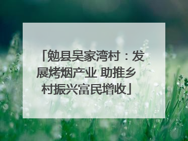 勉县吴家湾村：发展烤烟产业 助推乡村振兴富民增收