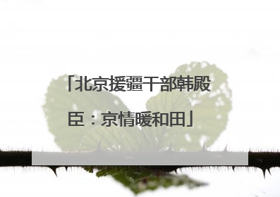 北京援疆干部韩殿臣：京情暖和田