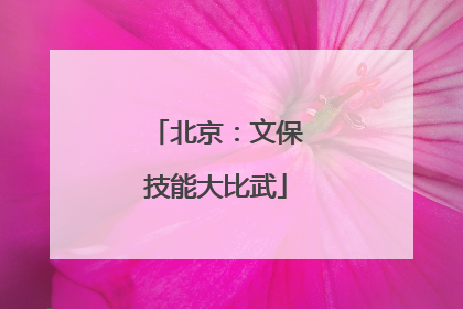 北京：文保技能大比武