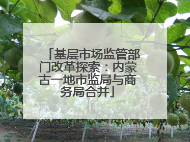 基层市场监管部门改革探索：内蒙古一地市监局与商务局合并