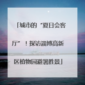 城市的“夏日会客厅”！探访淄博高新区植物园避暑胜景