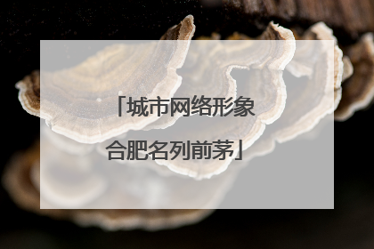 城市网络形象合肥名列前茅