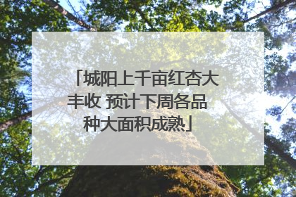 城阳上千亩红杏大丰收 预计下周各品种大面积成熟
