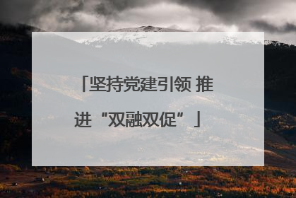 坚持党建引领 推进“双融双促”