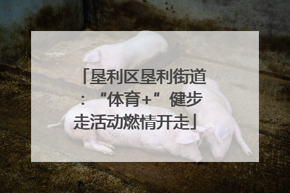垦利区垦利街道：“体育+”健步走活动燃情开走
